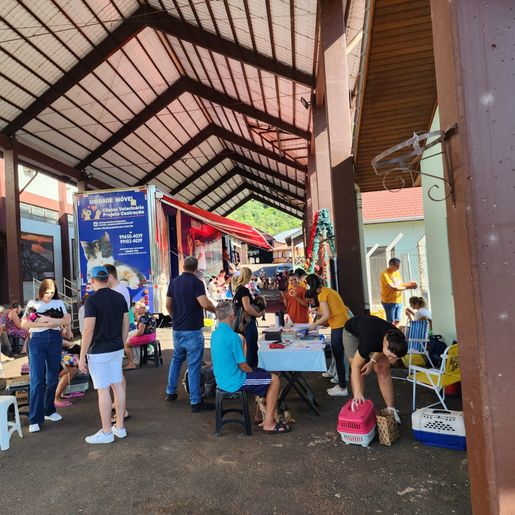 ONG Patinhas do Bem realiza mutirão de castração de animais em Itapiranga