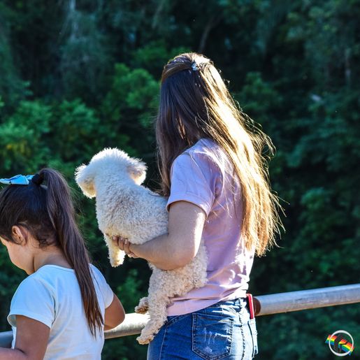 Alface D’Água começa a sair do Rio das Flores; assista ao vídeo