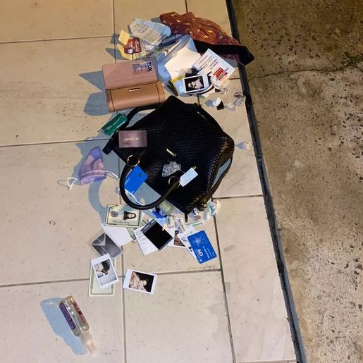 Ladrão suspeito de levar placenta congelada em SC é investigado por 10 furtos