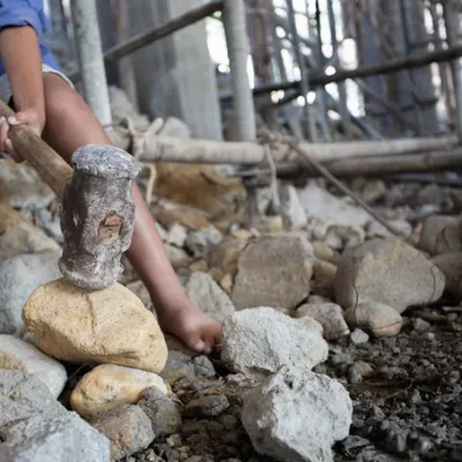 Brasil registrou maior número de denúncias de trabalho escravo da história em 2023, diz governo