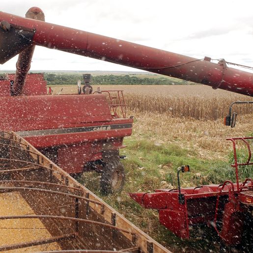 Agropecuária comanda avanço das exportações do Brasil