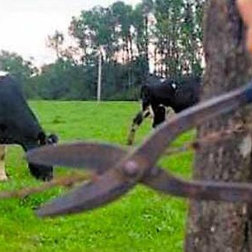 Regional de Polícia registra segundo maior número de ocorrências contra o agronegócio