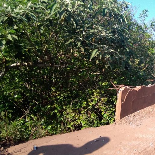 VÍDEO: mureta da ponte de acesso ao interior de São José do Cedro é danificada