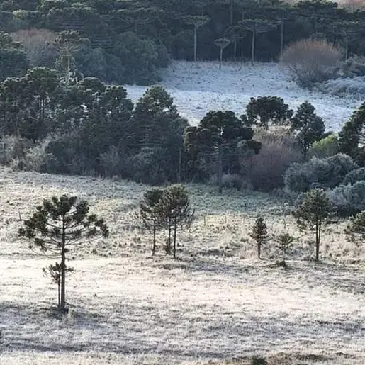 Serra de SC tem sexto dia seguido de temperaturas negativas