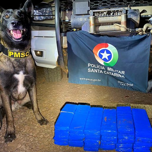 Mulher é presa em flagrante por tráfico de quase 21 quilos de maconha na BR-163