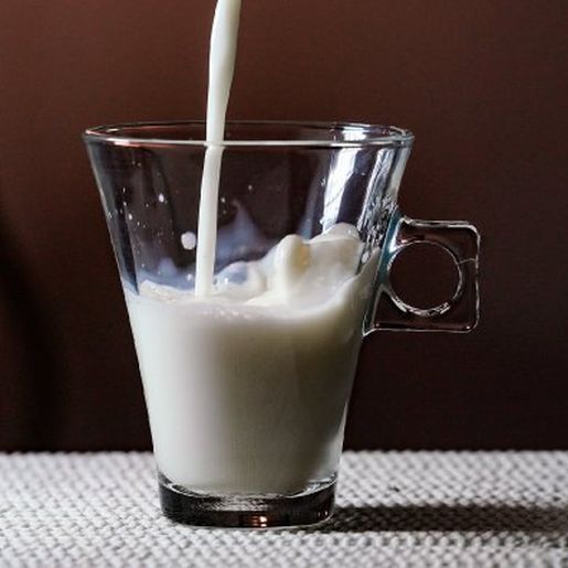 Sancionada lei que reduz ICMS do leite e de alimentos em Santa Catarina