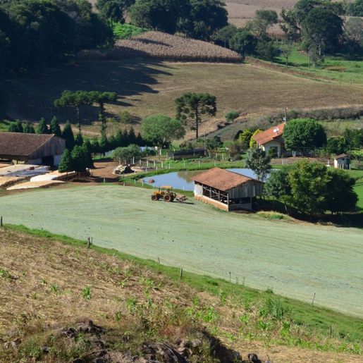 Governo de SC lança programa de R$ 1 bilhão para fortalecer cooperativas e agroindústrias