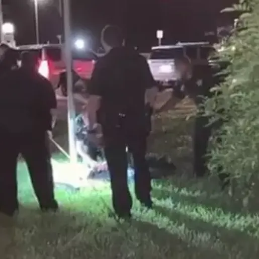 Homem confunde jacaré com cão e acaba mordido