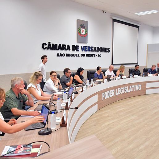 Vereadores aprovam doação de micro-ônibus para a Apae de São Miguel do Oeste