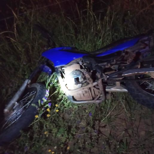Motociclista fica gravemente ferido após atingir animal na SC-161