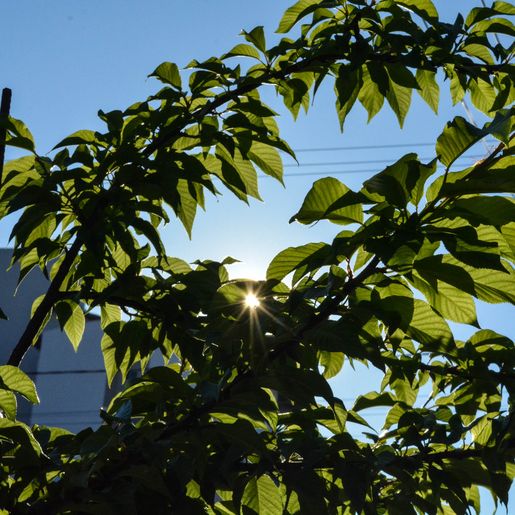 Após frio, temperaturas devem voltar a subir no começo da semana na região