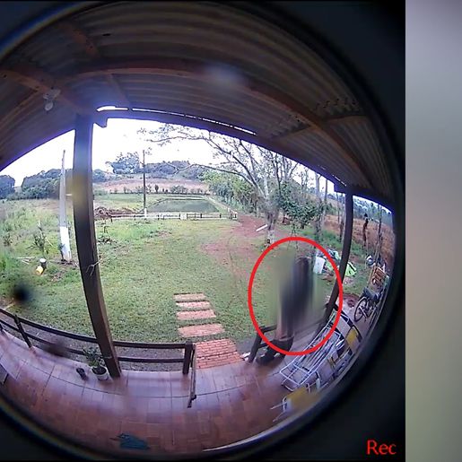 VÍDEO: Câmera flagra homem pegando calcinha e se masturbando