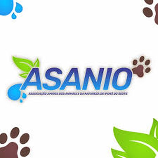 ASANIO define calendário de eventos para arrecadar fundos para manutenção das atividades