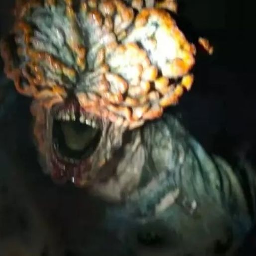 Fungo que ‘zumbifica’ pessoas em série existe em Santa Catarina