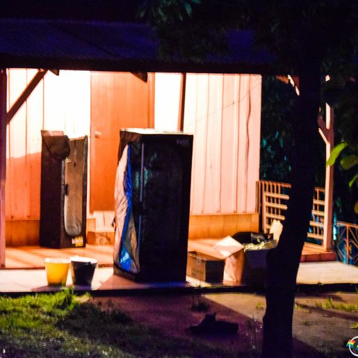 PM prende três pessoas por tráfico e apreende estufas de maconha em São Miguel do Oeste