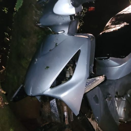 Árvore cai e atinge motociclista na SC 163, em Itapiranga