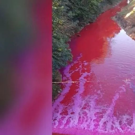 Vazamento de produto químico deixa rio vermelho em Criciúma