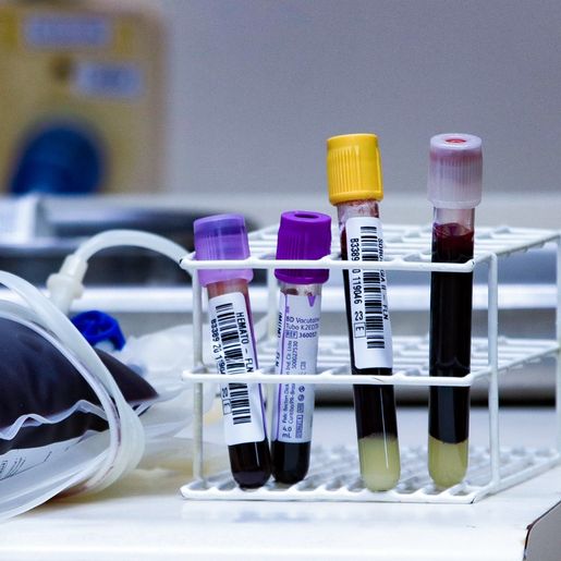 HEMOSC reforça pedido à população para iniciar 2026 com a doação de sangue