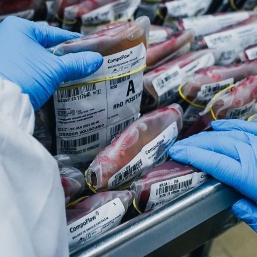 SC tem crescimento de 4,1% nas doações de sangue em 2023