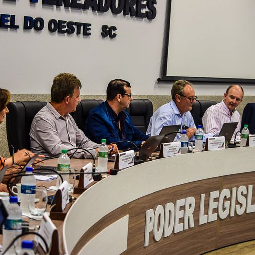 Vereadores pedem informações sobre cemitérios, Plano de Cargos e Salários e Willy Barth