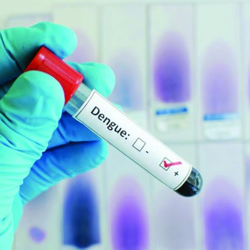São José do Cedro registra quatro casos de Dengue contraídos no município