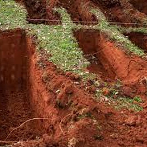 Fake News sobre abertura de várias covas gera transtornos para funerárias da região