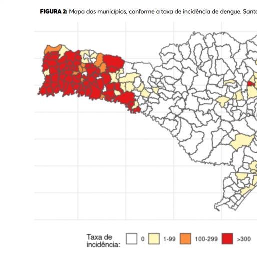 SC tem mais de mil casos de dengue confirmados nesta semana