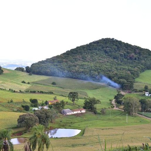 Mais de 1.400 propriedades vão precisar fazer a regularização fundiária em SMOeste
