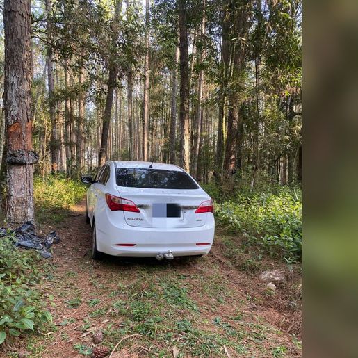 Suspeito de atacar mulher com barra de ferro em Guaraciaba é preso pela PM