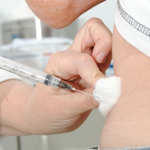 Estado catarinense recebe mais 173 mil doses de vacina contra a gripe