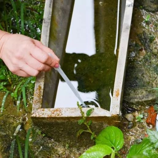 Após explosão de casos, veja o perfil dos infectados por dengue em SC