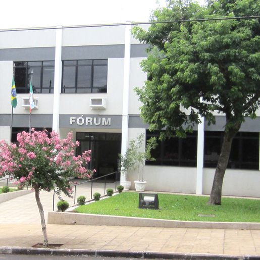 Cachorro ficará sob guarda compartilhada após ex-casal ir à Justiça em Mondaí