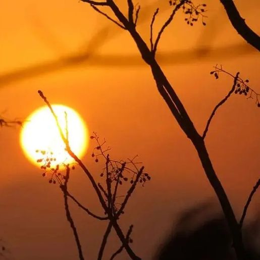 Cidades de SC têm mais de 45ºC de índice de calor em “forno a céu aberto”