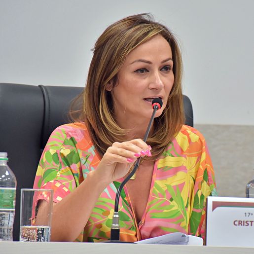 Câmara aprova pedido de audiência pública sobre a Aduana de Paraíso