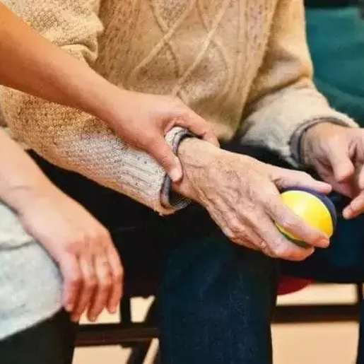 SC teve em média 13 denúncias de violência contra idosos por dia em 2023