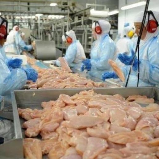 Hong Kong suspende importação de frigorífico de SC após caso de Coronavírus em frango