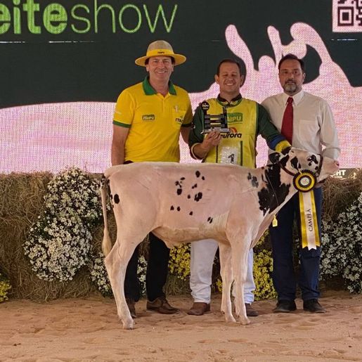 3º dia do Itaipu Rural Show tem como destaque Feira Ranqueada de Animais