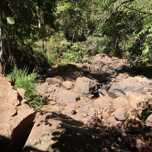 Iporã do Oeste decreta situação de emergência