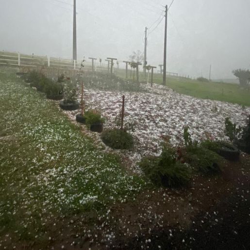 Temporal de granizo deve causar prejuízo médio de 20% em SMOeste