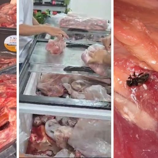 Carne podre e com moscas virava charque e era vendida no comércio de Itajaí