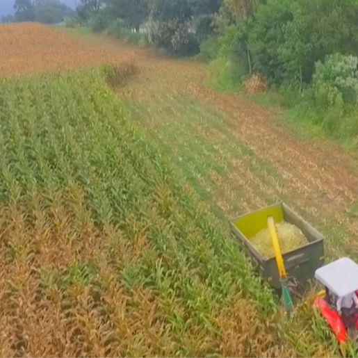 Estado homologa Decreto Municipal de Emergência devido à estiagem em São Miguel do Oeste