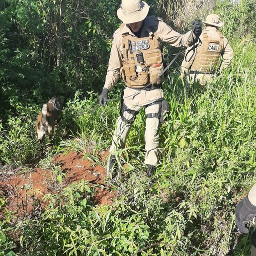 Suspeito de assalto em Belmonte é preso no interior de Itapiranga