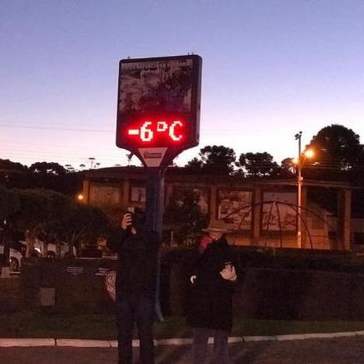 Santa Catarina tem mínima de -8°C e árvore fica congelada em Urupema