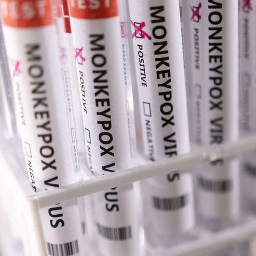 Secretaria de Saúde de Riqueza confirma caso de varíola dos macacos