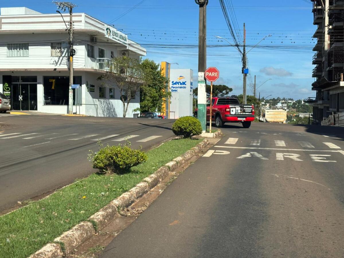 Após atropelamento, prefeitura retira vegetação e estuda rótula em cruzamento