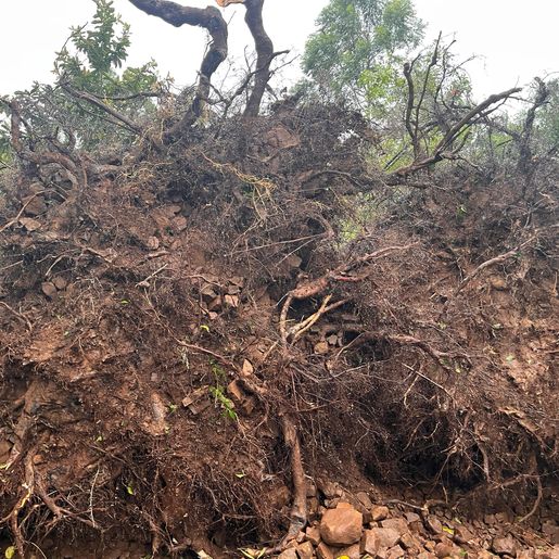 Vendaval destrói telhado de casa e galpão no interior de São Miguel do Oeste