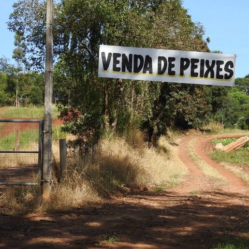 Venda de peixes para a Semana Santa já está em andamento em São Miguel do Oeste