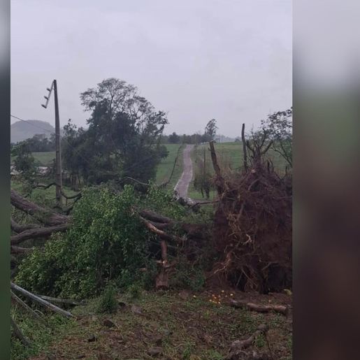 Após temporal, Celesc mobiliza mais de 25 equipes para restabelecer energia no Oeste catarinense