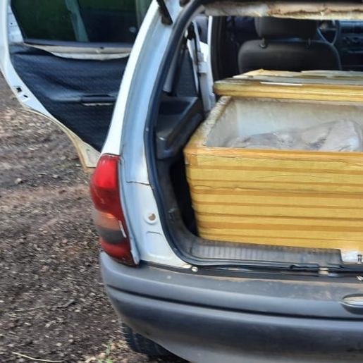 Vigilância Sanitária de Itapiranga apreende peixes vendidos por ambulantes