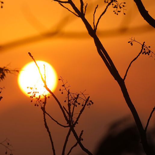 Semana começa com sol e calor intenso, e máximas se aproximam dos 40°C em SC